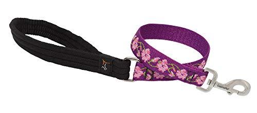 Lupine Pet Originals 1" Rose Garden 2-Foot Traffic Lead/Leash for Medium and Larger Dogs