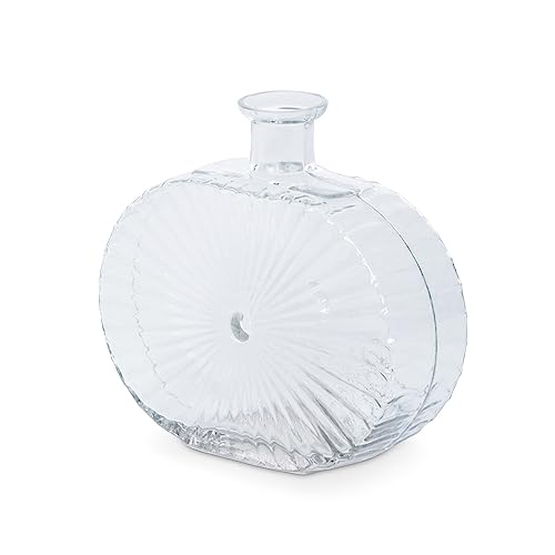 Park Hill Collection Starburst Embossed Oval Bottle Vase, Large, 10-inch Length, Glass, Clear, for Decorative Use, Wall Decor, Home, Office, Kitchen, Living Room, Indoor