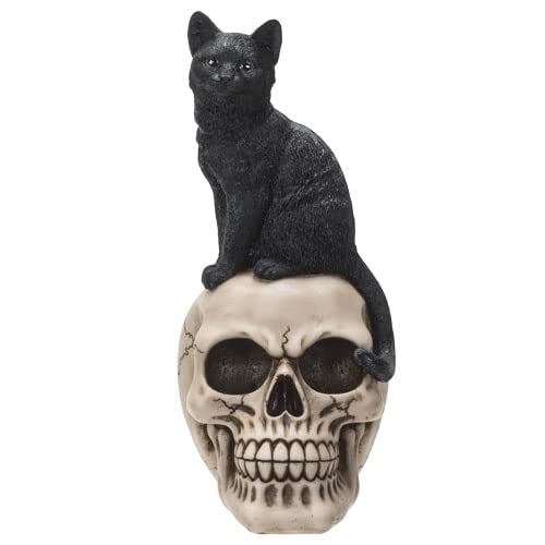 Pacific Trading Giftware Black Cat on Skull Figurine, 9.57-Inch Height, Multicolor