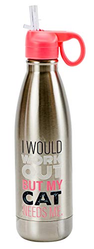 Boston Warehouse Cat Insulated Sport Bottle, 17 ounce, Stainless Steel