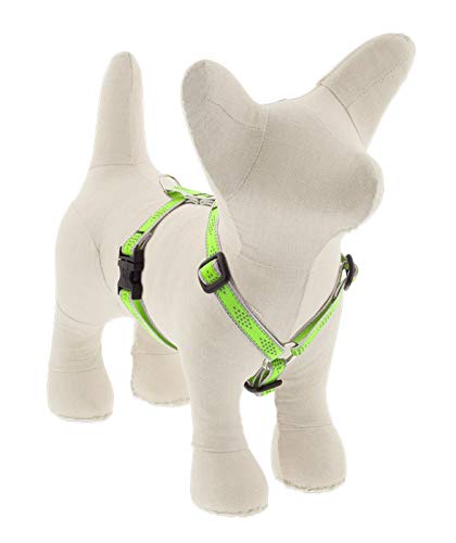 Lupine Pet Reflective Small Adjustable Dog Harness 1/2" Wide Green Diamond with 12-20" Girth