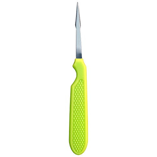 HIC Harold Import Co Santoro Products The Clam Key, One Size, Chartreuse
