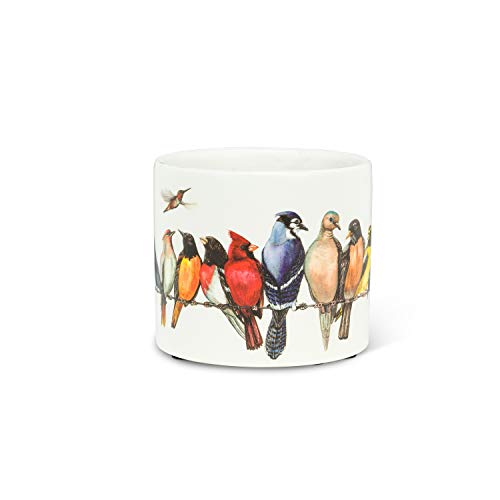 Abbott Collection  27-PARADE-085-XS Xs Birds on Wire Planter-3" D, 3 inches D, Multi