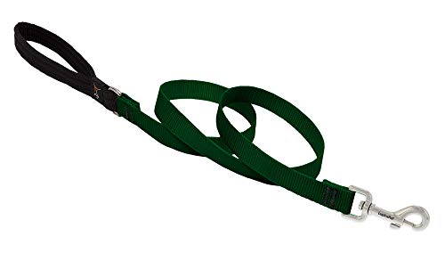 Lupine Pet Dog Leash by Lupine in 3/4" Wide Green 4-Foot Long with Padded Handle