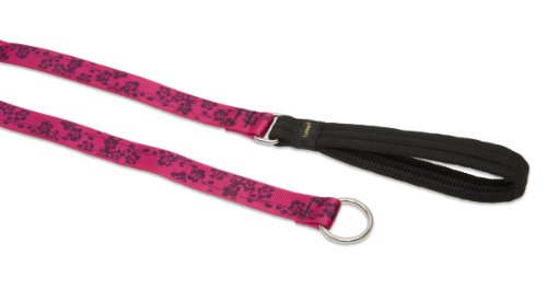 Lupine Pet Originals 1" Plum Blossom 6-foot Slip Lead/Leash for Medium and Larger Dogs