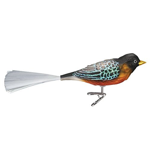 Old World Christmas 18088 Bird Watcher Collection Glass Blown Ornaments for Christmas Tree Robin, Multicolor