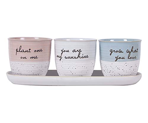 Blue Sky Clayworks Clayworks Patricia Planters