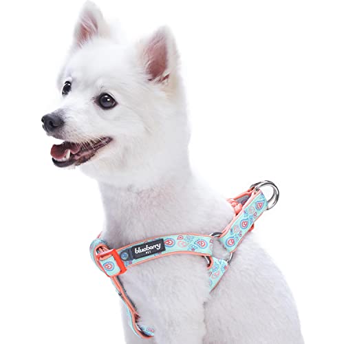 Blueberry Pet 5 Colors Soft & Comfy Step-in Paisley Flower Print Dog Harness, Chest Girth 26" - 39", Pastel Blue, Large, Adjustable Harnesses for Dogs