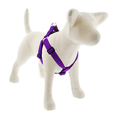 Lupine Pet Basics 1" Purple 24-38" Step In Harness for Large Dogs