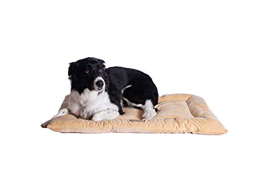 Armarkat Pet Bed Mat 35-Inch by 22-Inch by 3-Inch M01-Large, Beige