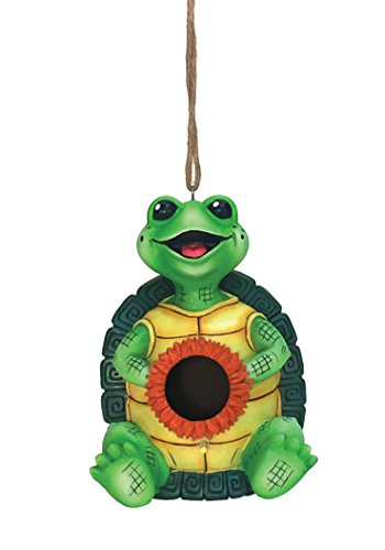 Spoontiques 10171 Turtle Birdhouse, Green