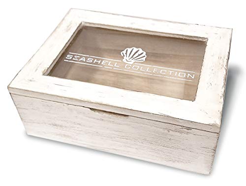 Divinity Boutique Seashell Collection Creamy White 8 x 6 Wooden Keepsake Box