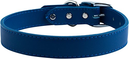 OmniPet 6068-BL22 Signature Leather Pet Collar, Blue, 1 by 22"