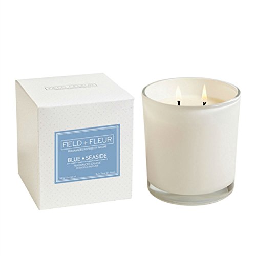 HillHouse Naturals Field + Fleur 2-Wick White Glass Jar Candle, Blue Seaside, 12 oz.