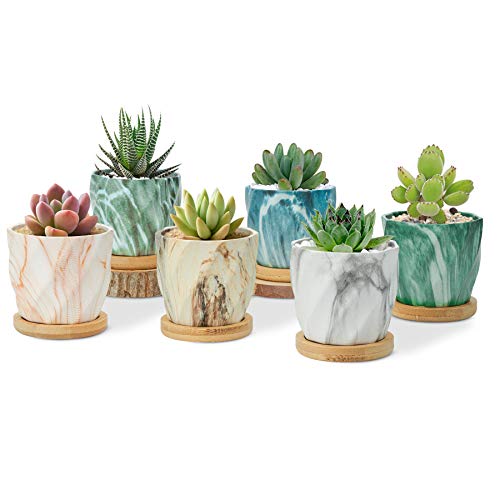 T4U Succulent Pot Ceramic 2.5 Inch Octagon Marbling Small Cactus Pot Set of 6, Geometric Tiny Cute Pot, Colorful Mini Plant Planter with Drainage for Indoor Home Office Woman Desk Decor Mom Gift