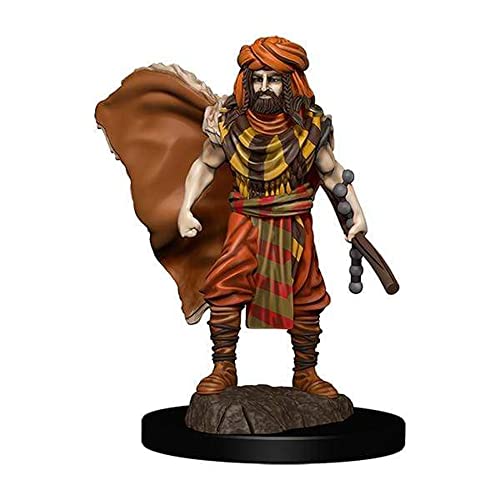 WizKids Store D&D: Icons of The Realms: Premium Figure: Human Druid Male