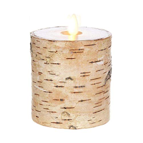 Raz Liown 37105-4" x 5" Birch Moving Flame Pillar Candle