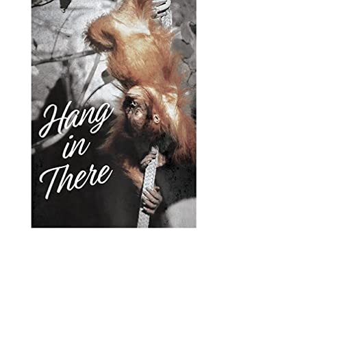 Carson Home 25068,"Hang In There" Humorous Greeting Card, 6.8-inches Height, Matte