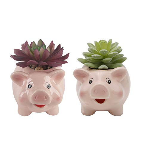 Flora Bunda Artificial Plants in Cute Animal Novelty Planter Artificial Succulent in 4.8" Small Pink Pig Ceramic Planter,Set of 2, 4.88 x 3.5 x 5 inches