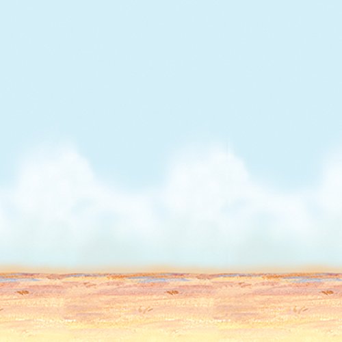 Beistle Printed Plastic Desert Sky & Sand Photography Backdrop for Western Theme Birthday Party Photo Booth Background, 4' x 30', Blue/Tan/White