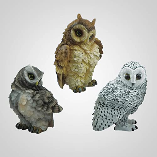 Lipco Polyresin Owl Breeds Figurine, Set of 3, 6-inch Height, Tabletop Decoration