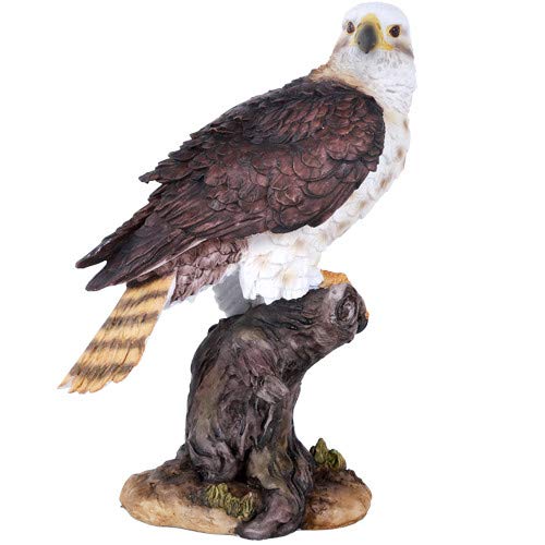 Pacific Trading Giftware Wildlife Red Tailed Hawk Eagle Birds of Prey Figurine Statue 10 Inch