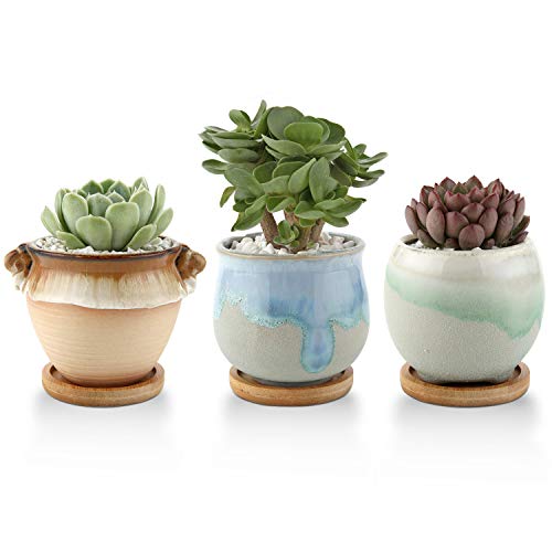 T4U 3 Inch Ceramic Succulent Planter Pots with Bamboo Tray Set of 3, Plant Cactus Container Flowing Glaze Flower Pots Window Box Best for Home Office Table Desk Decoration Gift for Mom Sister