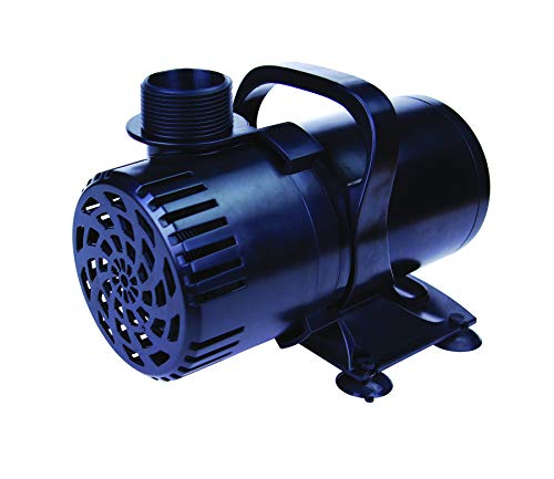 Lifegard Aquatics Pond and Fountain Submersible Pump ‚Äì 60Hz UL Listed, 115-Volt ‚Äì Freshwater Safe, Oil-Free Design ‚Äì Low Energy Consumption Pumps ‚Äì 2700 Gallons Per Hour,883133