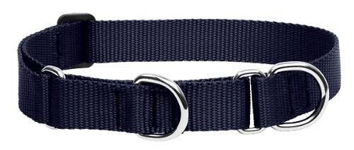 Lupine Pet Basics 1" Black 19-27" Martingale Collar for Large Dogs