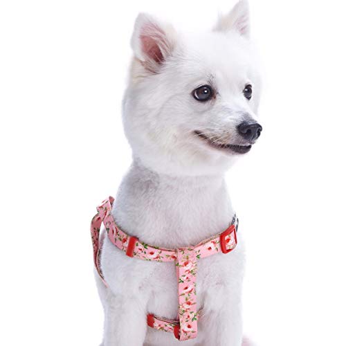 Blueberry Pet 9 Patterns Step-in Spring Scent Inspired Floral Rose Baby Pink Dog Harness, Chest Girth 20" - 26", Medium, Adjustable Harnesses for Dogs