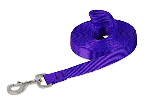 Lupine Pet Basics 3/4" Purple 15-Foot Extra-Long Training Lead/Leash for Medium and Larger Dogs