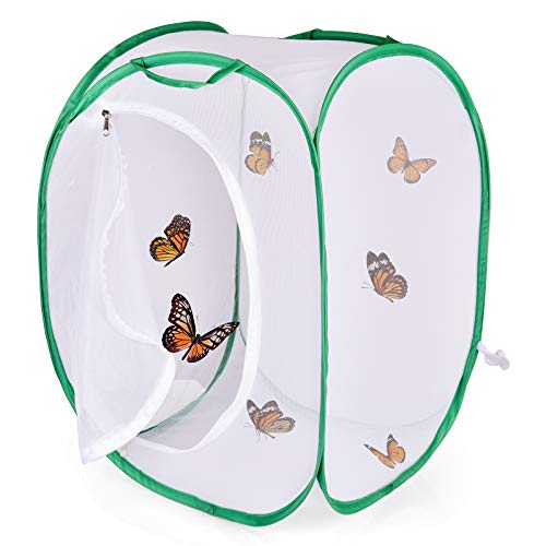FUN LITTLE TOYS Square Butterfly Cage Set, Insect and Butterfly Habitat Cage, Collapsible Caterpillar Habitat, 23 in Tall Pop-up Without Living Butterfly (Square-10.04 x 8.78 x 1.57 inches)