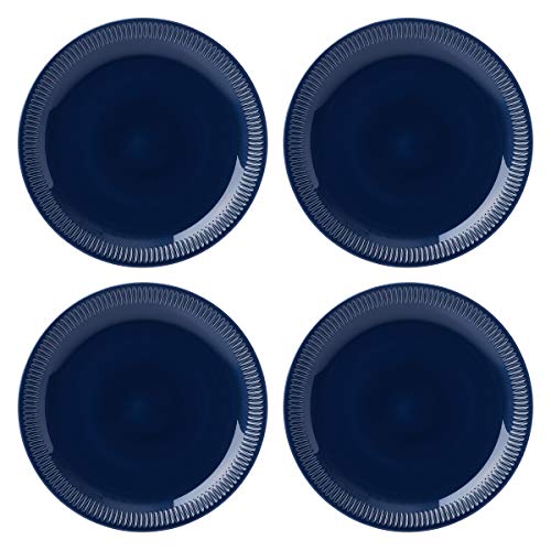 Lenox Navy Profile Stoneware 4-Piece Dinner Plate Set, 6.05 LB