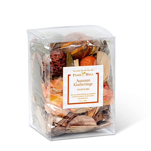 Park Hill Collection FNP20624 Autumn Gathering Boxed Potpourri, 11.5 oz
