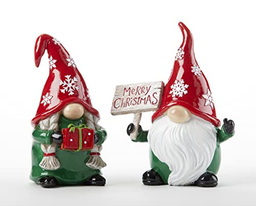 Delton Resin Snowflake Gnome, 2 Assortment