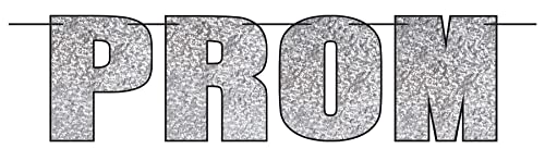 Beistle High School Prom Banner Photo Prop Backdrop for Dance Party, 14.25" x 6', Silver/Black