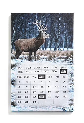 Giftcraft 682005 Christmas LED Annual Calendar with Magnetic Markers ,Reindeer, 19.68 inch, Medium Density Fiberboard and Canvas