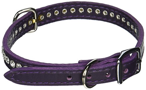 OmniPet Signature Leather Crystal and Leather Dog Collar, 16", Purple