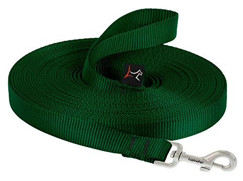 Lupine Pet Basics 3/4" Green 30-Foot Extra-Long Training Lead/Leash for Medium and Larger Dogs