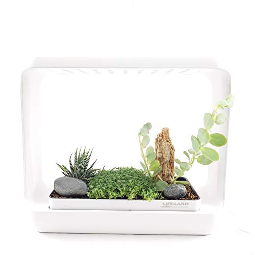 Lifegard Aquatics Lifegard R440870 LED Garden Kit with Planter Box and Full Spectrum Light, White