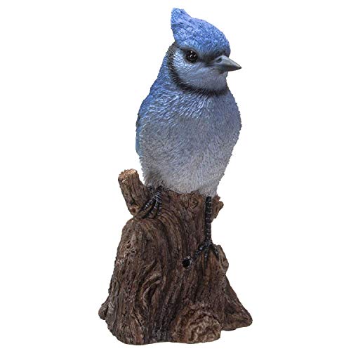 Pacific Trading Giftware Blue Jay Perching on Branch with Motion Activated Bird Sound Collectible Figurine