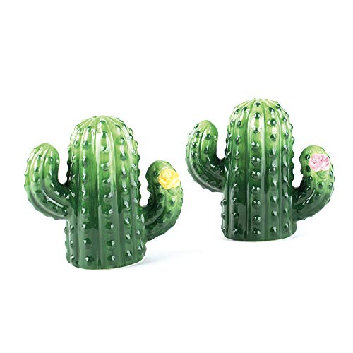 Certified International 3D Cactus Salt and Pepper Set