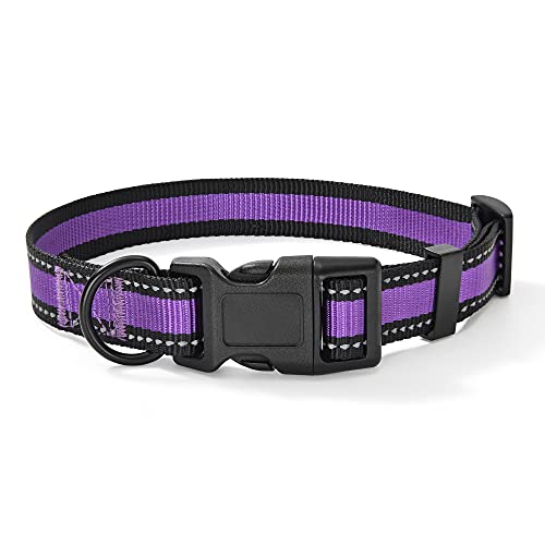 Mile High Life Dog Collar | Reflective 3M Stripe with Nylon Band (Purple, Medium (Pack of 1))