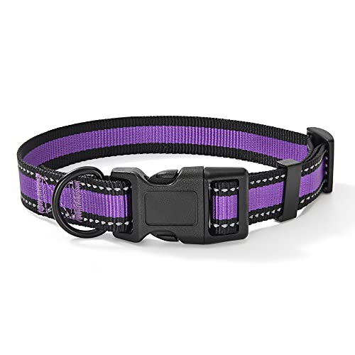 Mile High Life Dog Collar | Reflective 3M Stripe with Nylon Band (Purple, Large (Pack of 1) )