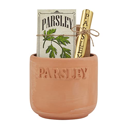 Mud Pie Parsley Herb Planting Set, 4-inch