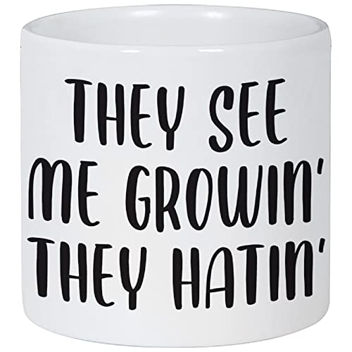 Carson Home 24456 Growin' Hatin Decorative Planter, 3.5-inch Diameter, Ceramic