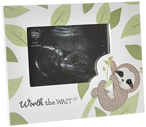 Precious Moments 192427 Worth The Wait Sloth Sonogram Photo Frame, Multicolor