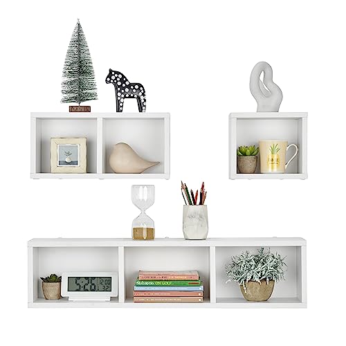 Danya B. Entryway Floating Utility Wall Shelf with Hooks - White