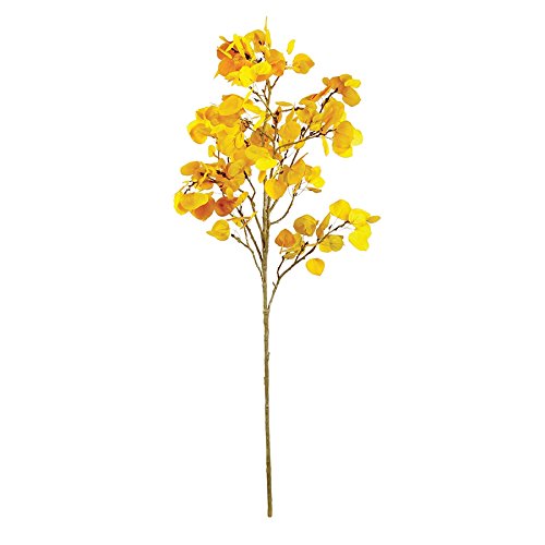 Napa Home & Garden Aspen 51" Branch