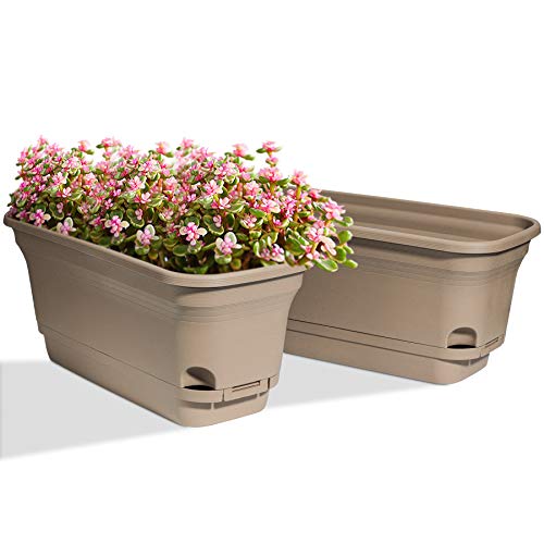 T4U Self Watering Planters Plastic Rectangular Plant Pot, Modern Decorative Flower Pot/Window Box for All House Plants, Flowers, Herbs, African Violets, Succulents - Brown, Set of 2